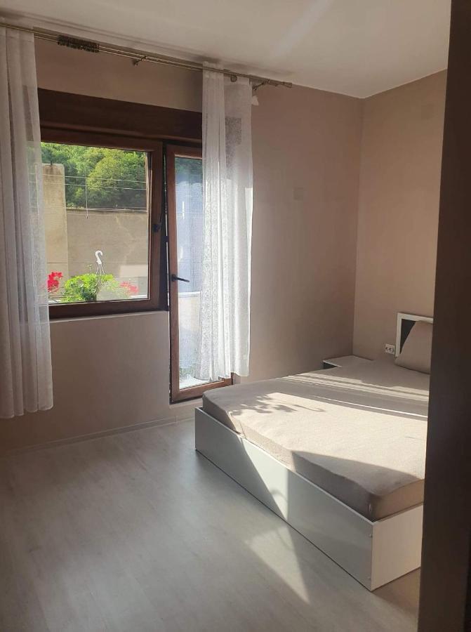 Appartamento Casa Simionov Băile Herculane Esterno foto